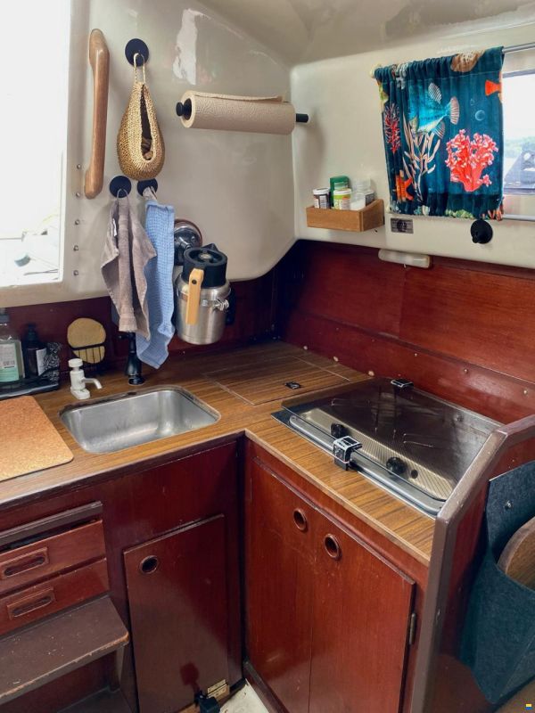 Shipman 28