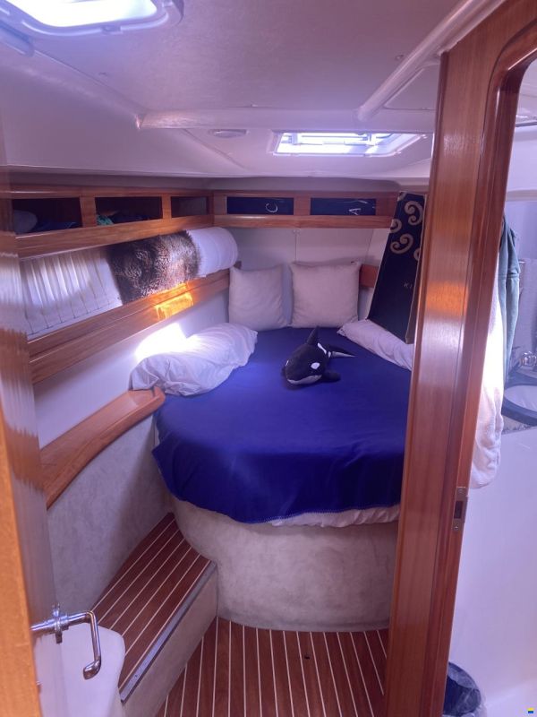 Bavaria 42 Cruiser
