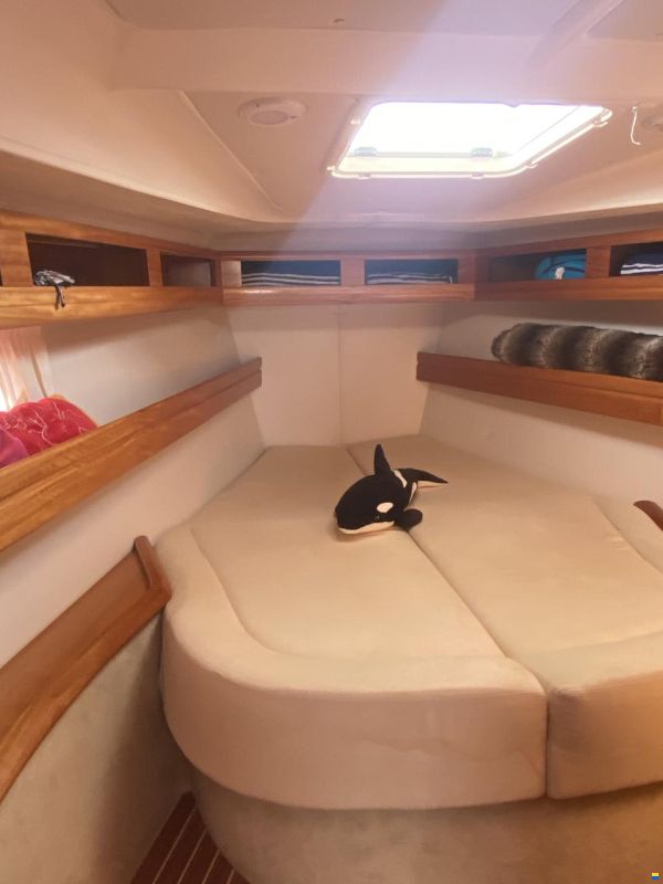 Bavaria 42 Cruiser