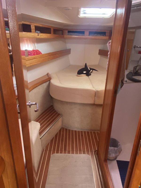 Bavaria 42 Cruiser