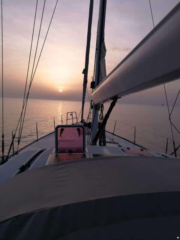 Shipman 50