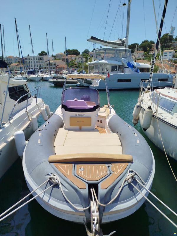 Salpa Soleil 23