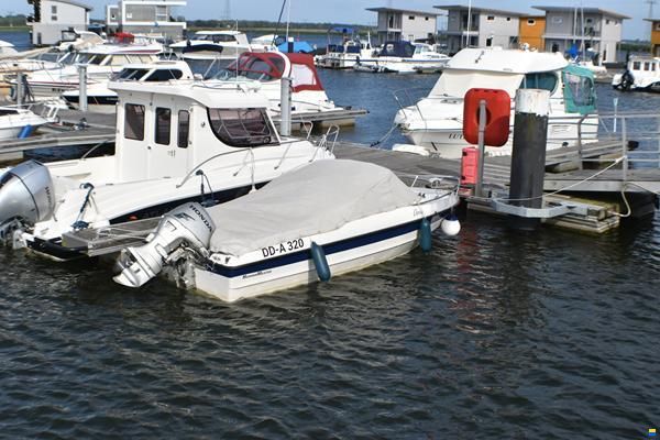 Hammermeister Baracuda 520 LC