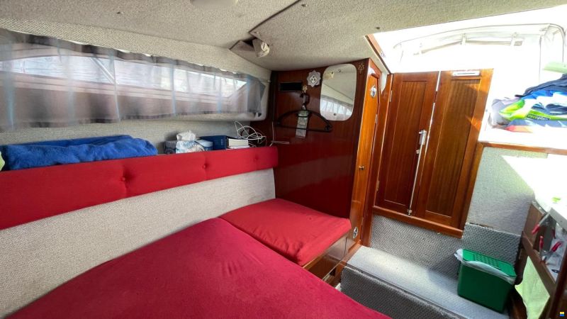 Sealine Gepflegtes Boot
