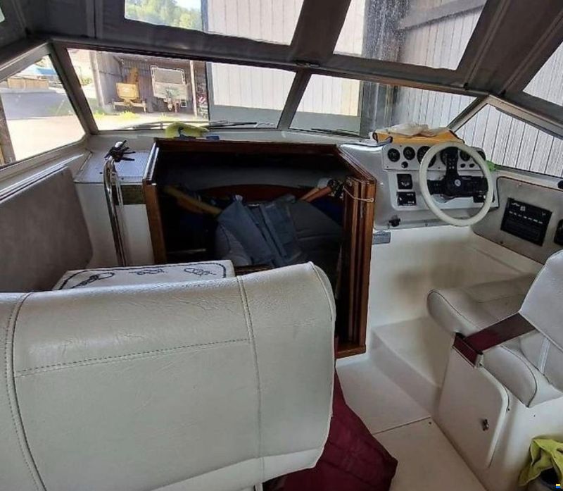 Sealine Gepflegtes Boot
