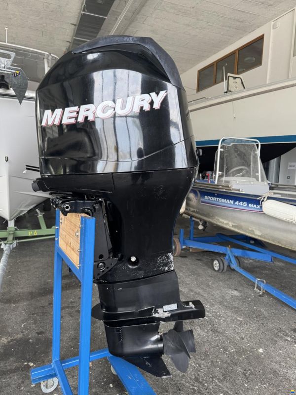 Mercury 100 PS