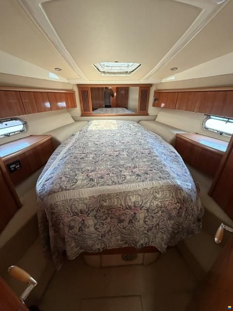 Sealine C39
