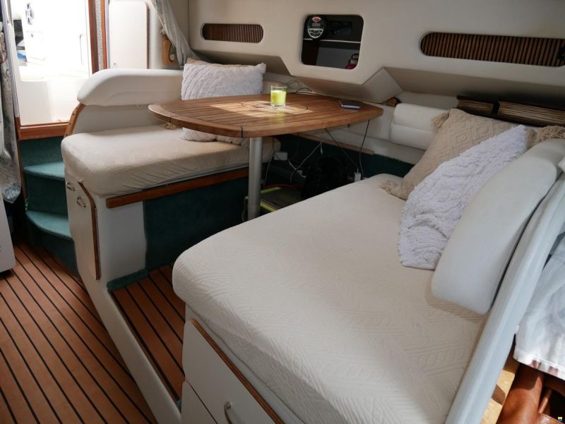 Sea Ray 290 DA