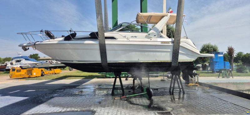 Sea Ray 290 DA