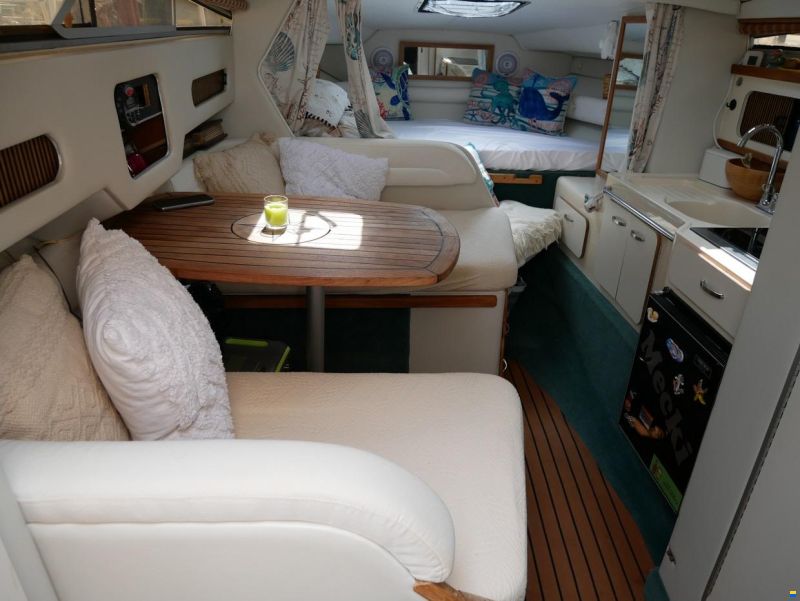 Sea Ray 290 DA
