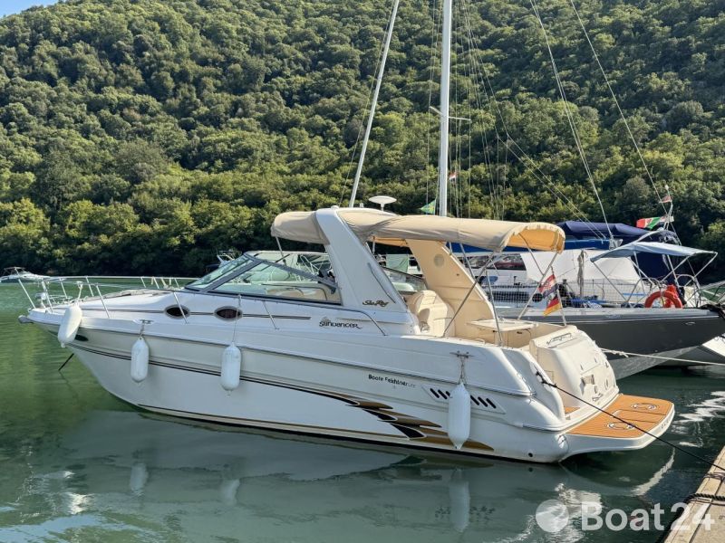 Sea Ray Sundancer 290