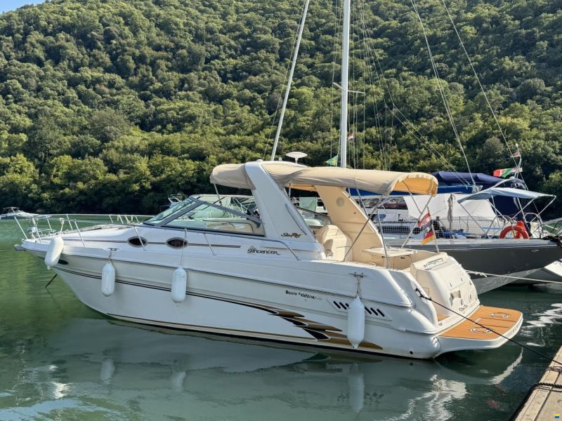 Sea Ray Sundancer 290