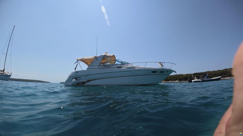Sea Ray Sundancer 290