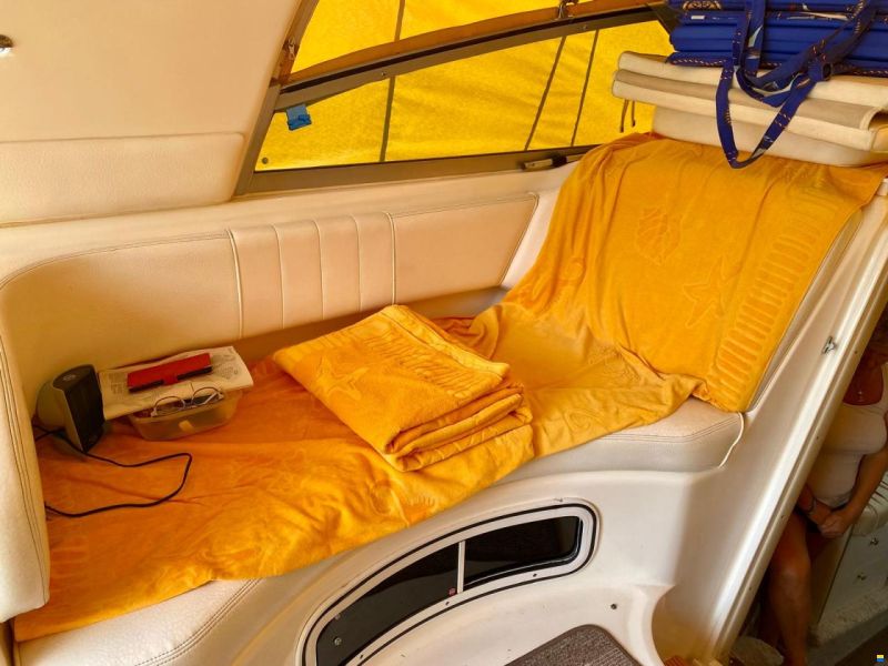 Sea Ray Sundancer 290