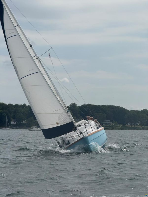 Cobramold Leisure 22