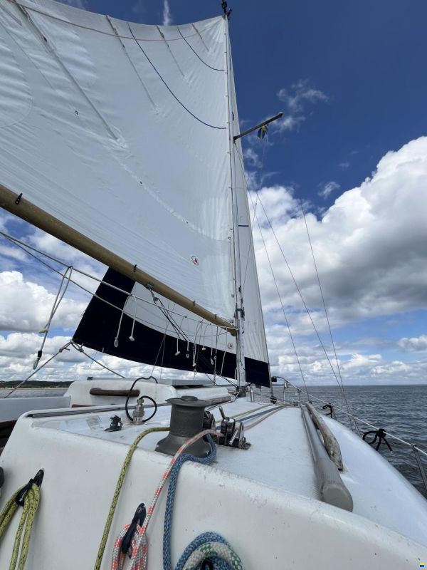 Cobramold Leisure 22