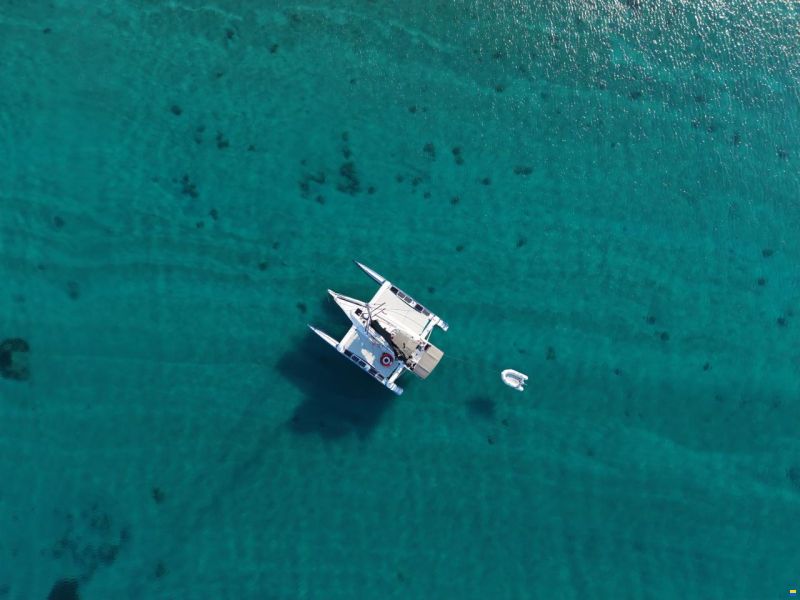 Dragonfly 36 ft Performance