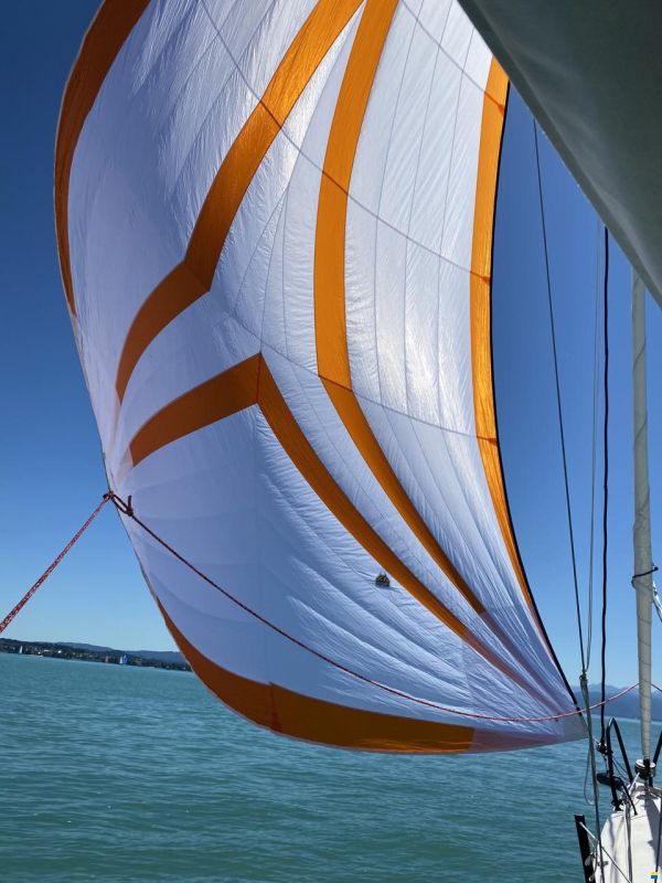 Bente 24 Edition
