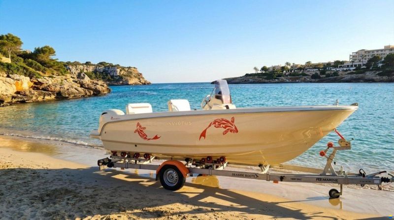 Invictus CAPOFORTE FX190 +YAMAHA 115PS