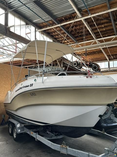 Scarani Day Cruiser 22