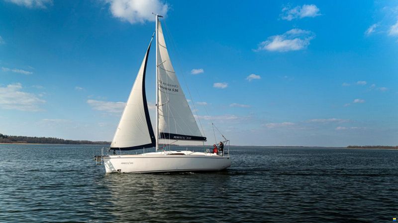 Odysseya S36