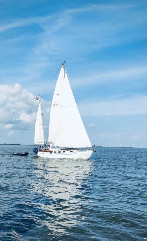 Koopmans 33