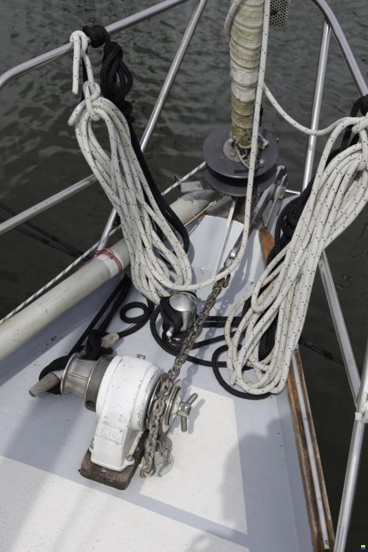 Koopmans 33