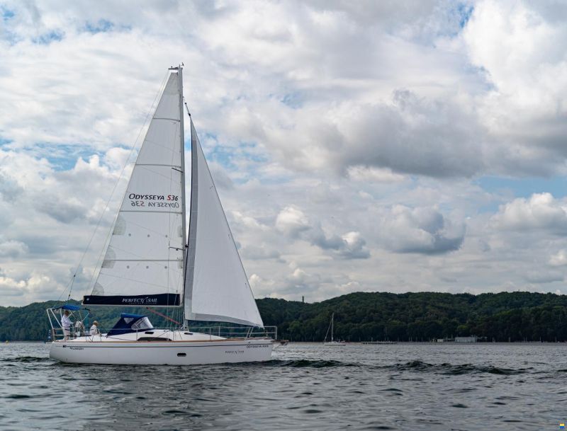 Odysseya S36