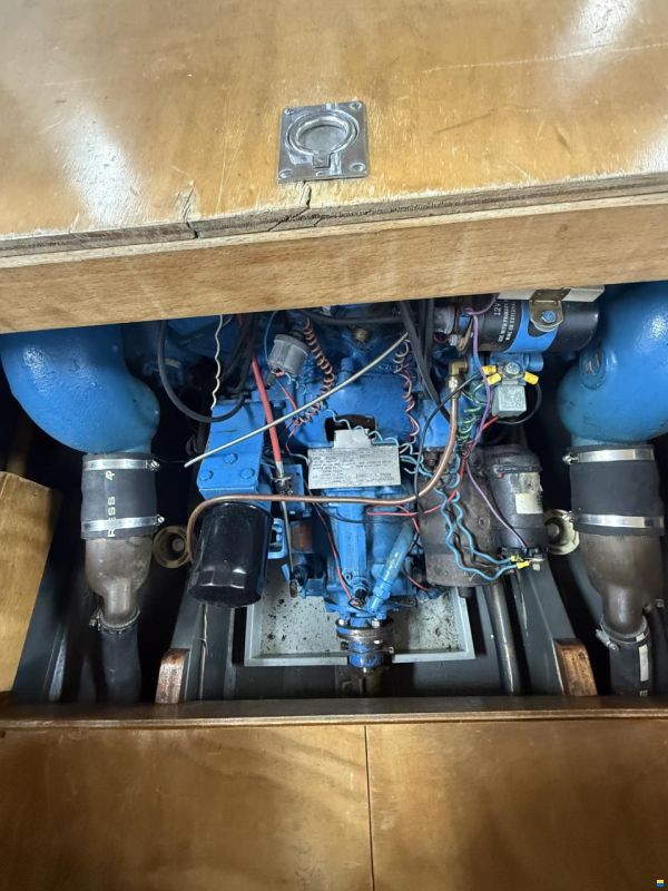 Boesch Acapulco 590