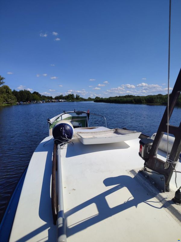 Mayland 20