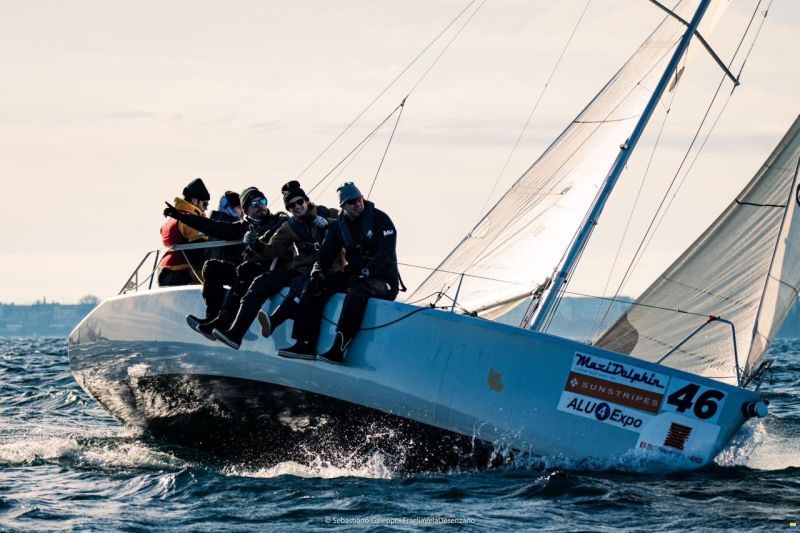 Maxi Dolphin Dolphin81