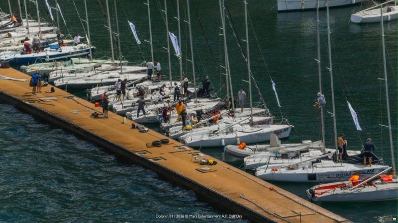 Maxi Dolphin Dolphin81