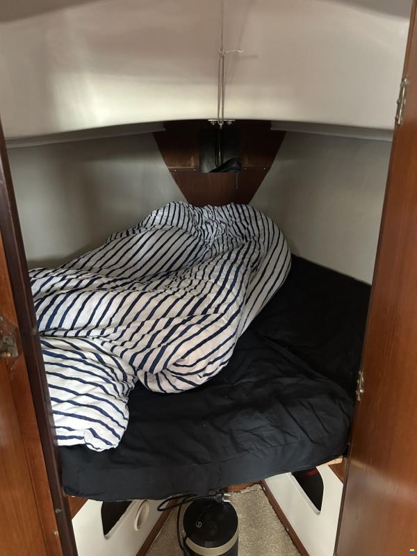 Shipman 28