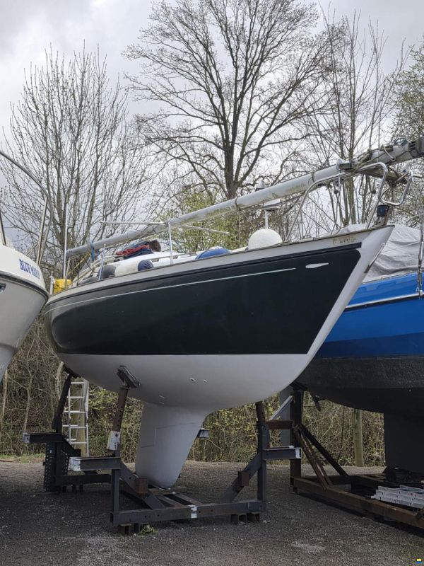 Shipman 28