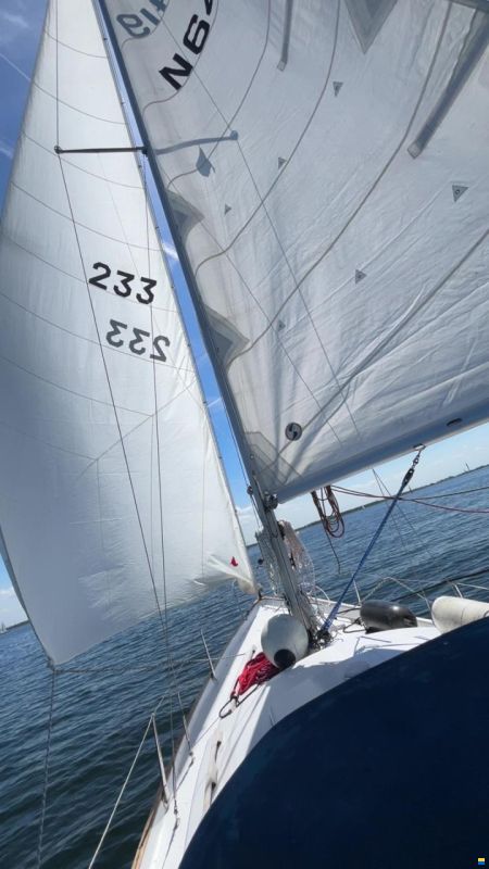 Shipman 28