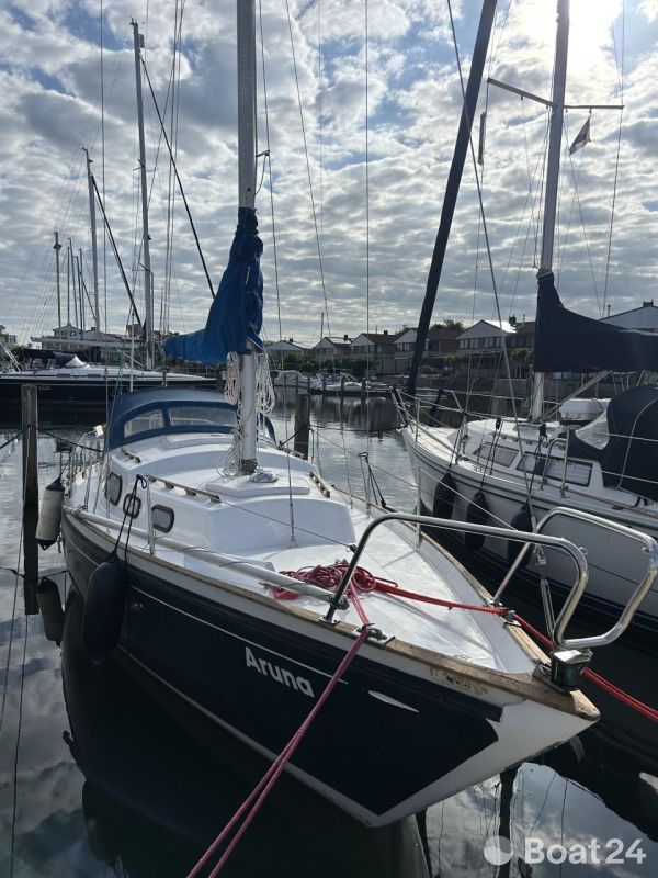 Shipman 28
