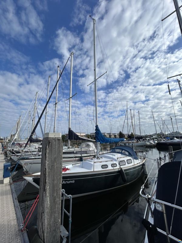 Shipman 28