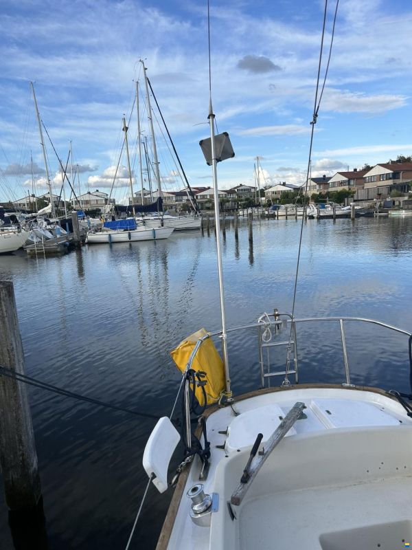Shipman 28