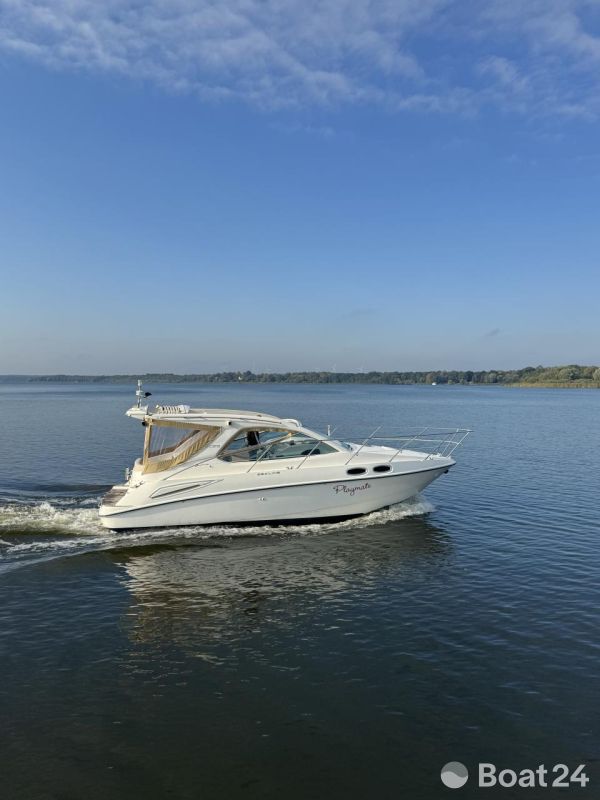 Sealine SC29