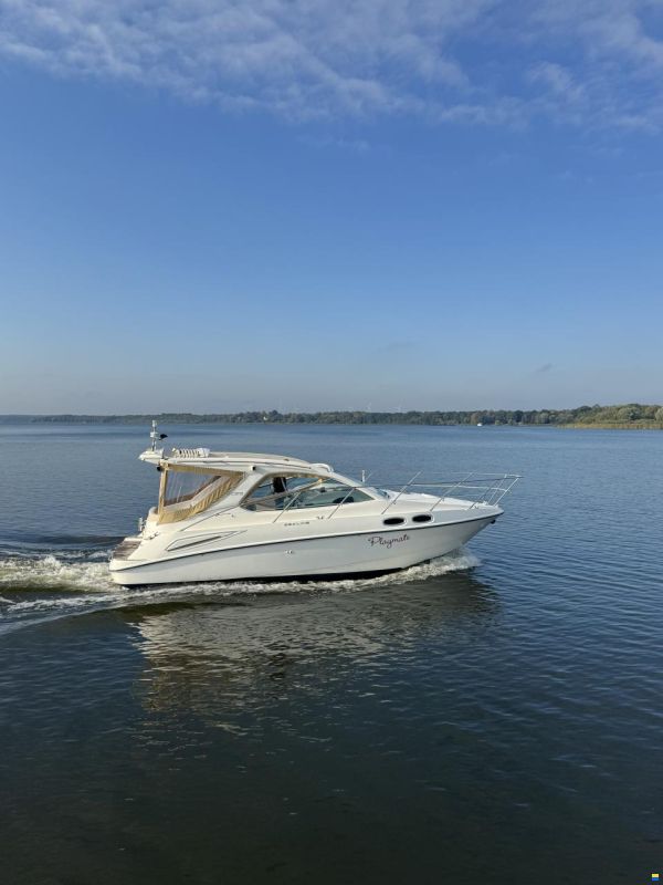 Sealine SC29