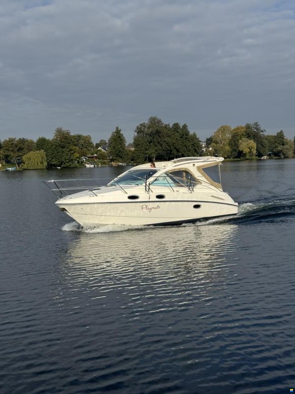Sealine SC29
