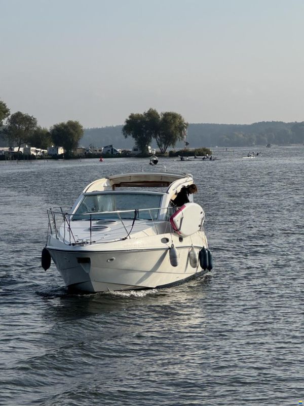 Sealine SC29