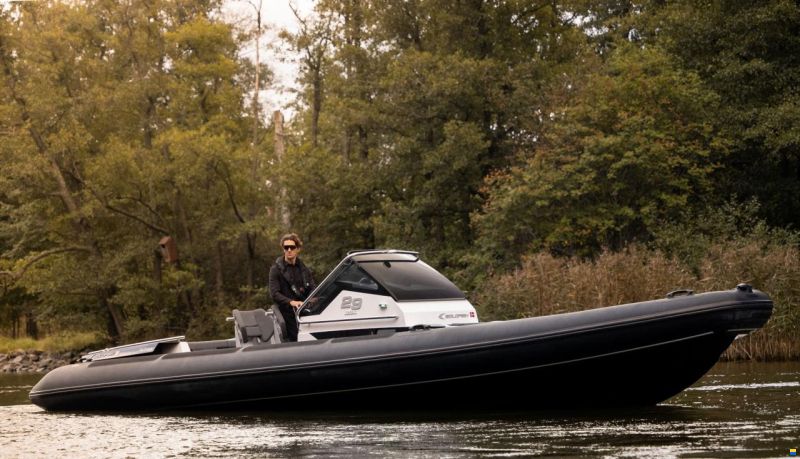 Goldfish 29 Sport