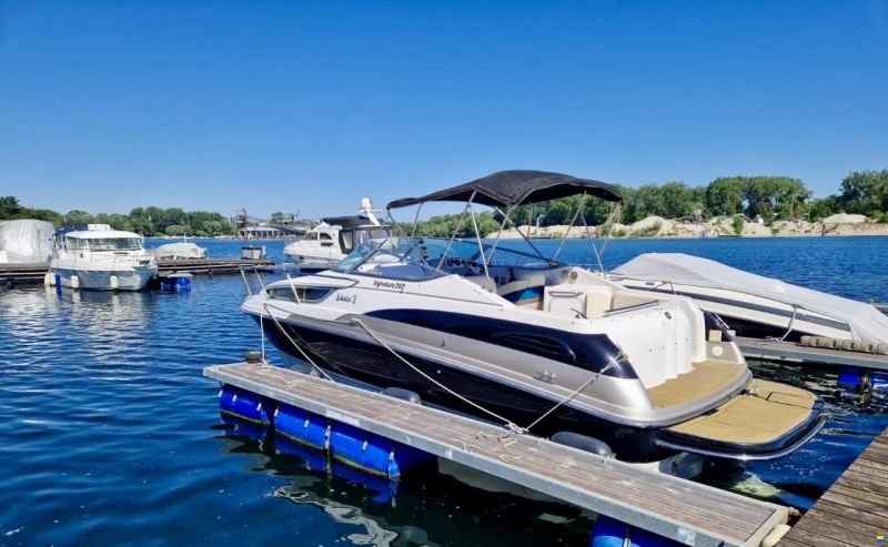 Chaparral Signature 260