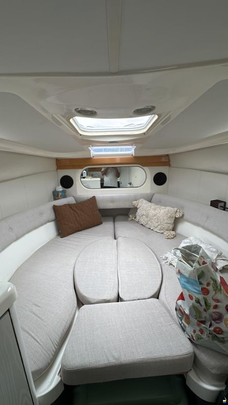 Sealine 270 Senator