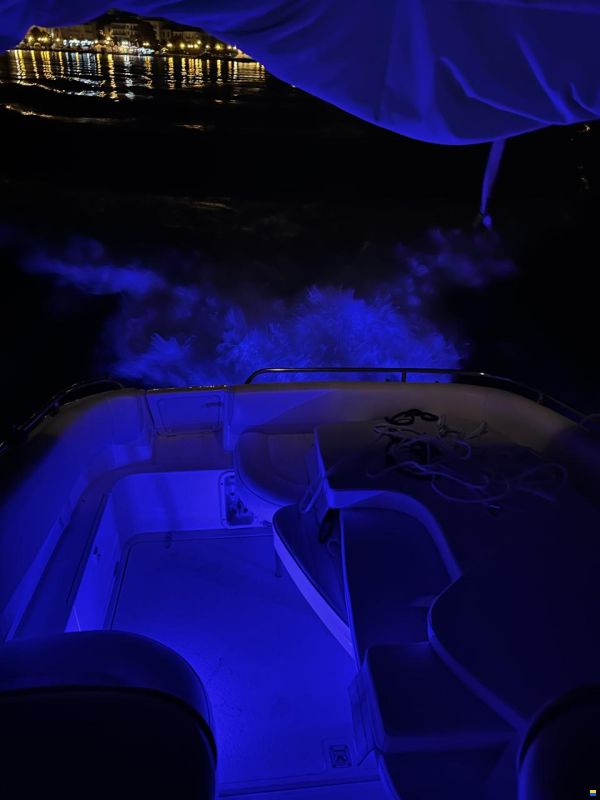 Sealine 270 Senator