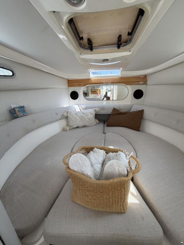 Sealine 270 Senator