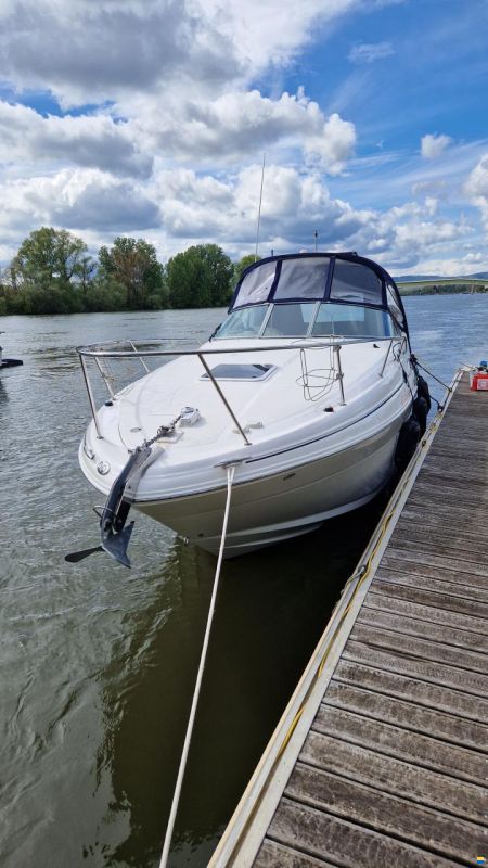 Sea Ray Sundancer 315