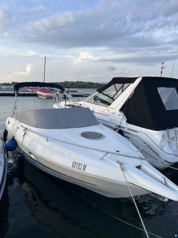 Cranchi Turchese 24