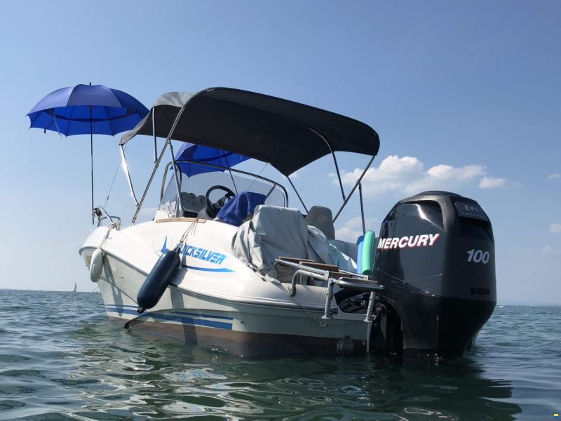 Quicksilver 555 Commander